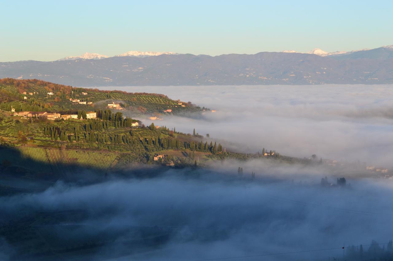 Tenuta Di Capezzana Bed & Breakfast Seano Ngoại thất bức ảnh